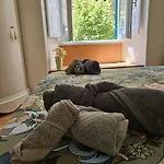 Lejlighed Borsieri