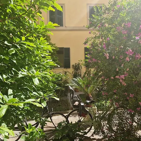 Borsieri